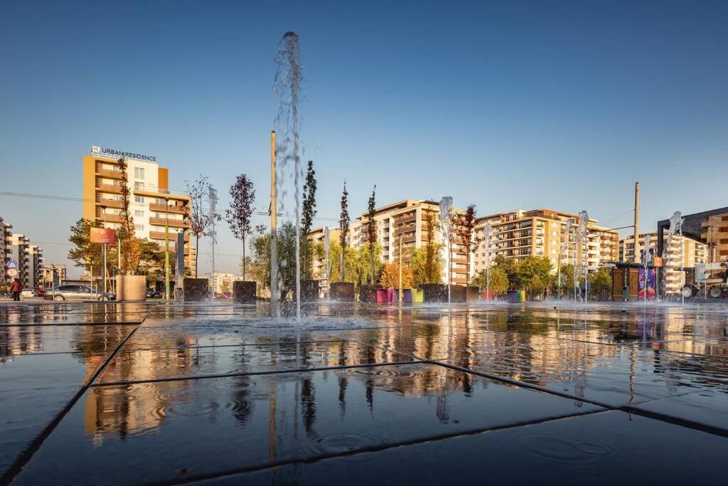 Alto Studio & Free Private Parking Braşov Exteriör bild