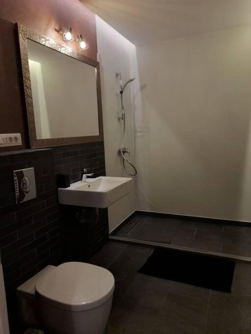 Alto Studio & Free Private Parking Braşov Exteriör bild