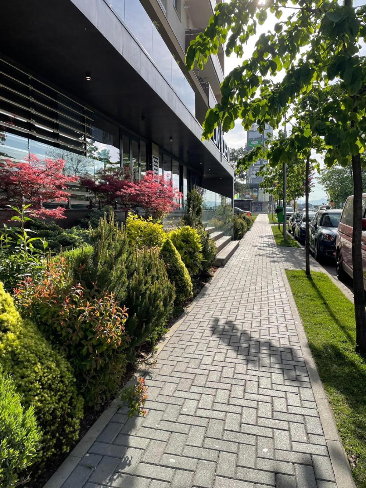 Alto Studio & Free Private Parking Braşov Exteriör bild