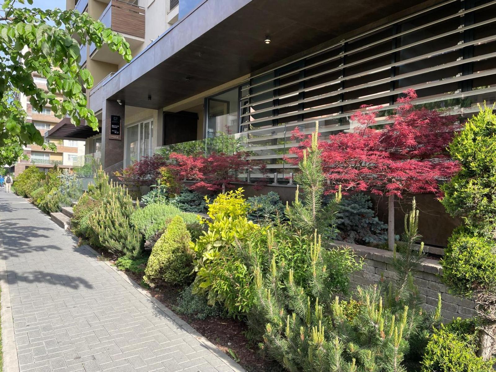 Alto Studio & Free Private Parking Braşov Exteriör bild
